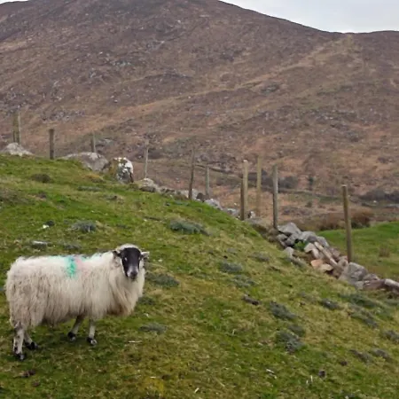 Donegal Дом отдыха *