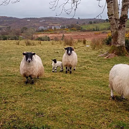 Дом отдыха Donegal Донегол