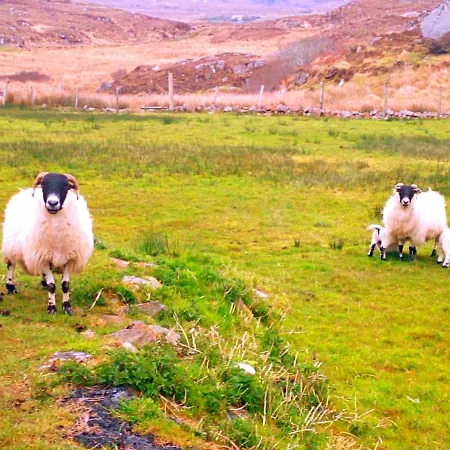 Дом отдыха Donegal Донегол