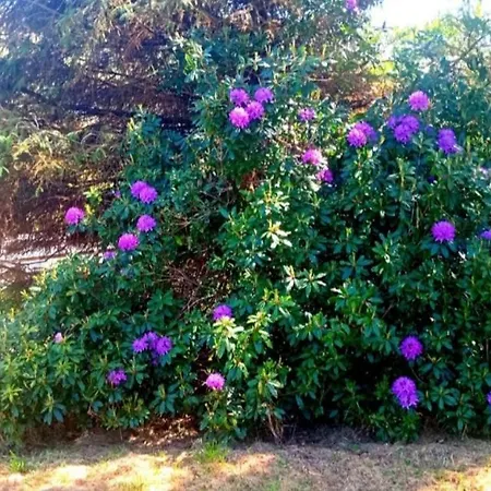 Donegal Donegal Town