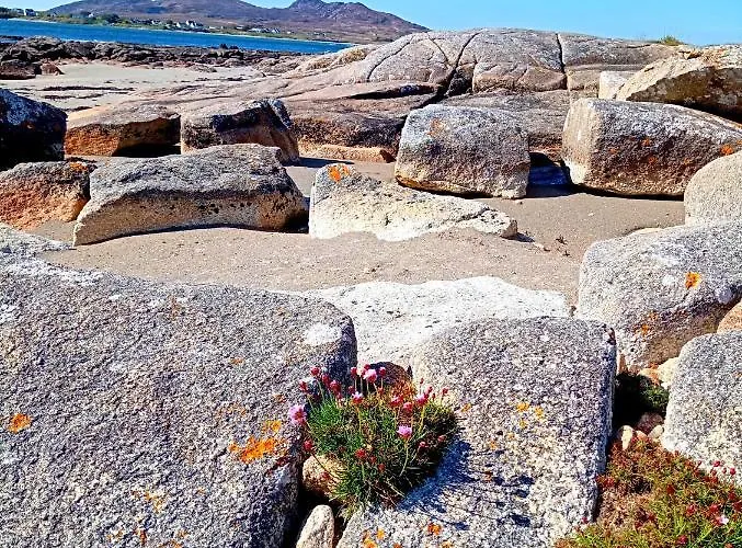 Donegal Donegal Town