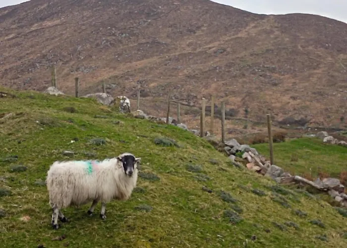 Donegal بيت للعطل *