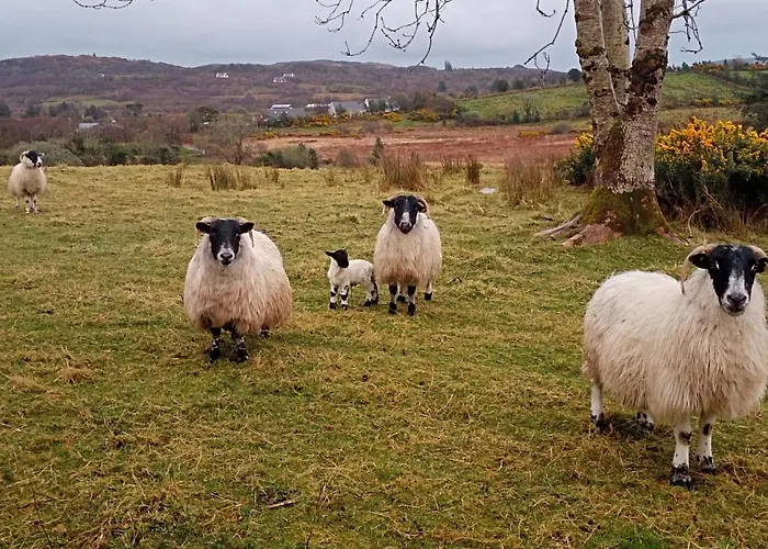 Сasa de vacaciones Donegal Donegal Town