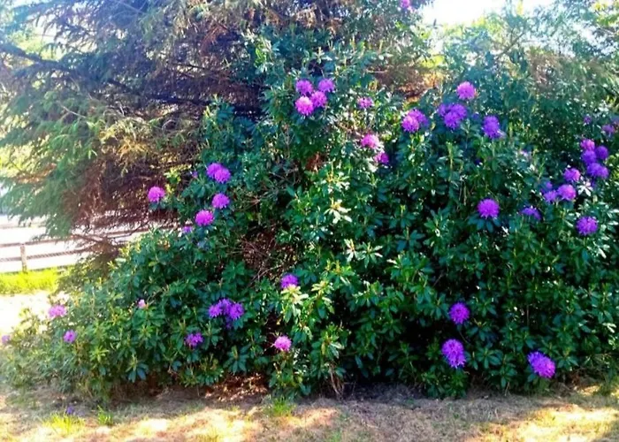 Donegal Donegal Town